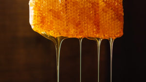 HoneyDew