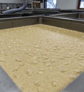 Fermentation