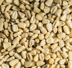 Food-Grade White Corn