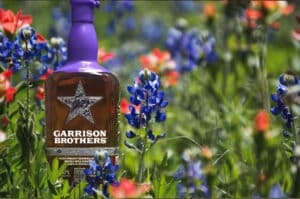 Lady Bird Bourbon in wildflowers.